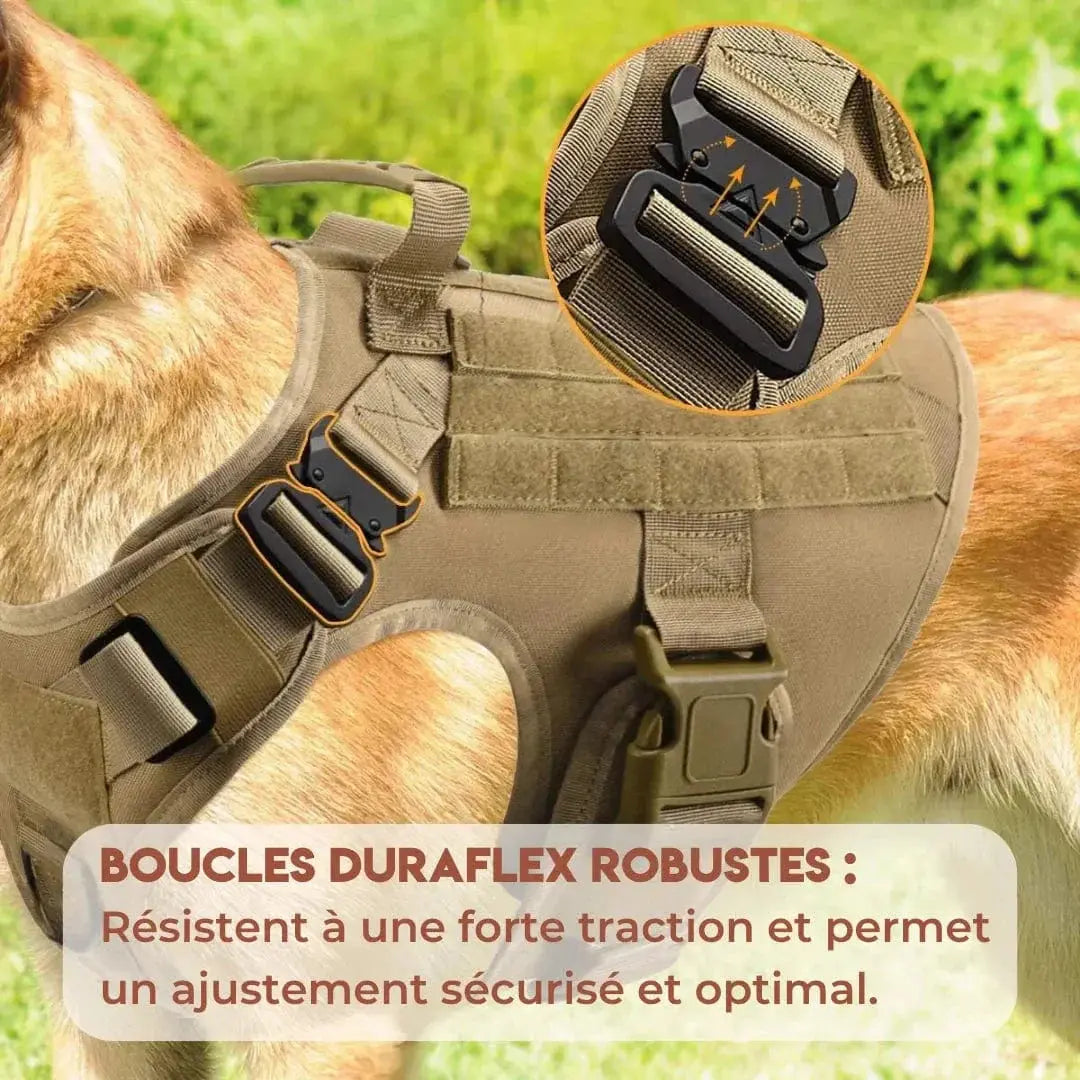 Harnais chien tactique – Harnais militaire avec MOLLE, polyvalent et durable Dog Spirit