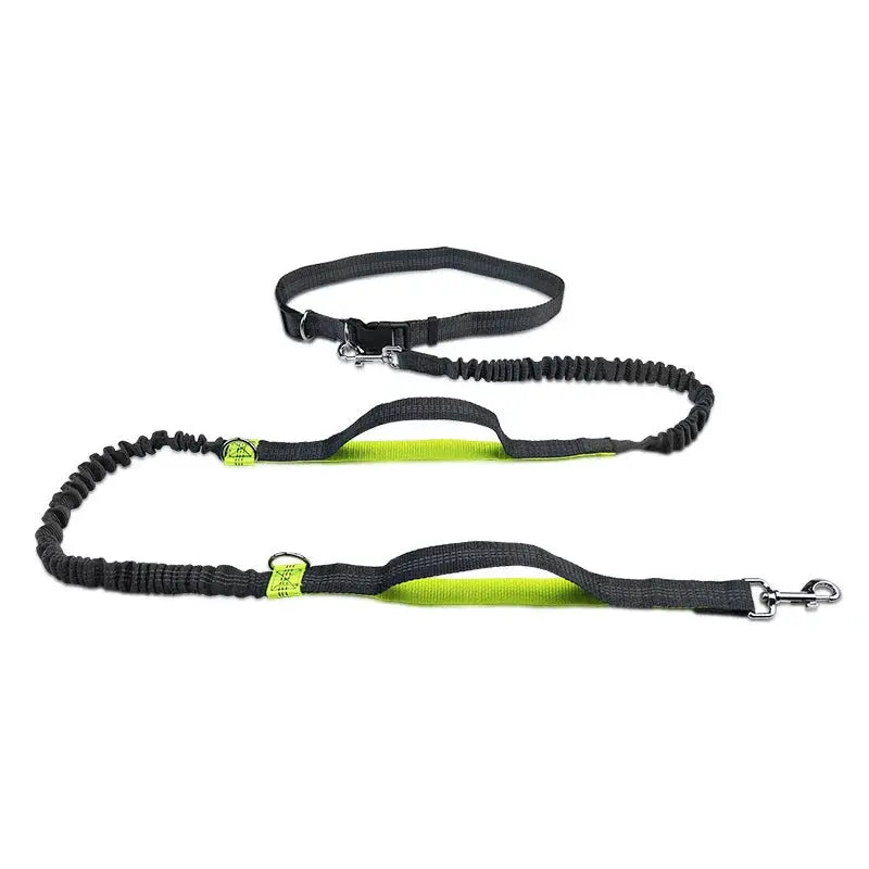 Canicross | Laisse Mains Libres Ceinture Premium Dog Spirit