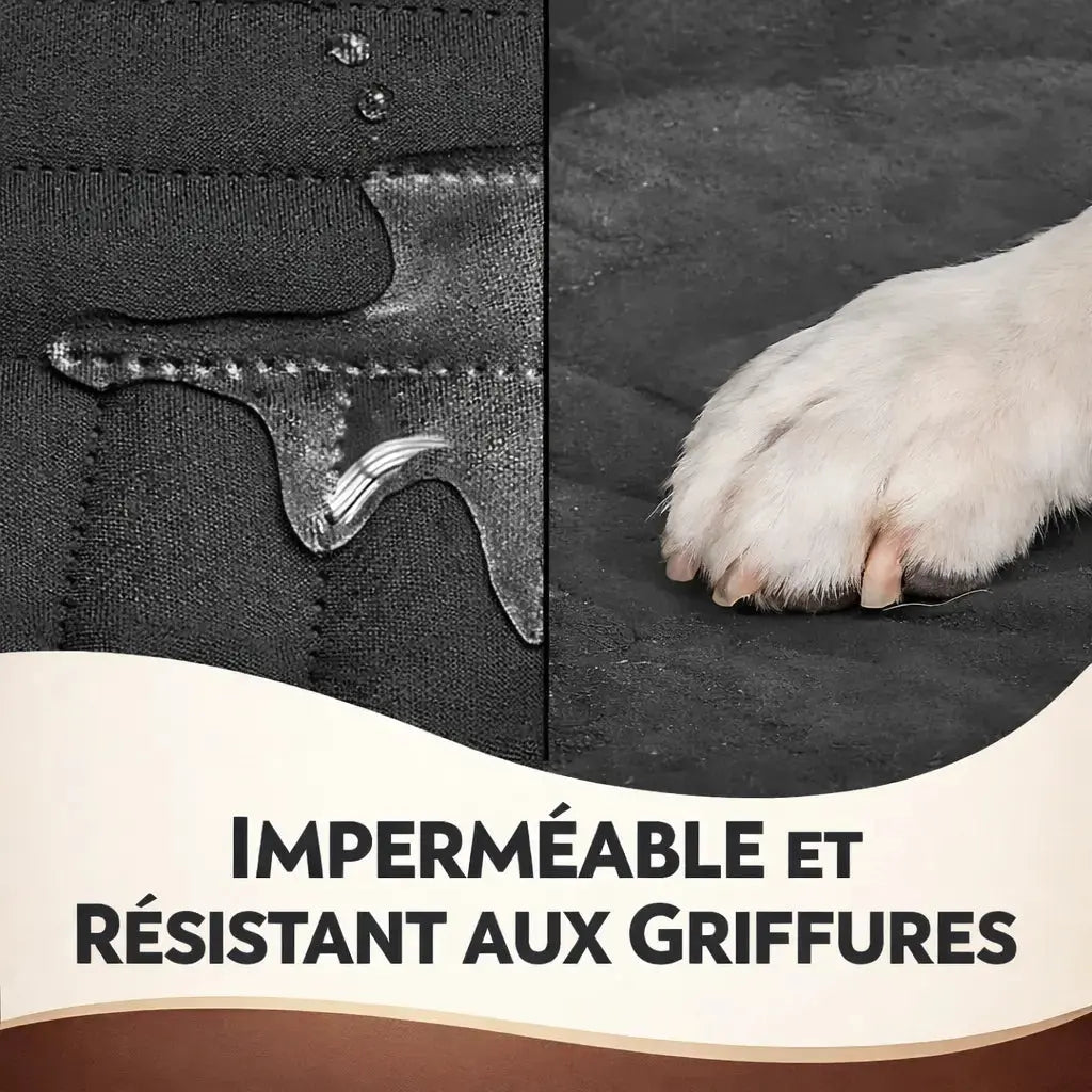 Housse de voiture pour chien – Protection intégrale – Imperméable et antidérapante – Banquette arrière Dog Spirit