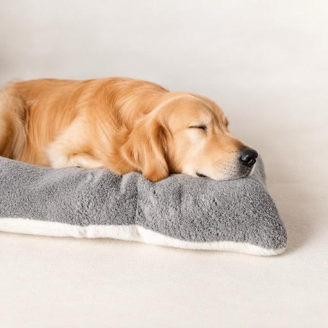 Panier Chien XXL Mousse Épaisse — 120x60 cm,  Grands Chiens jusqu'à 40 kg Salon Voiture Extérieur, lavable en machine.