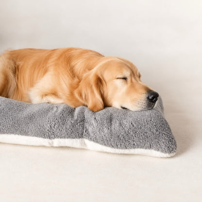 Panier Chien XXL Mousse Épaisse — 120x60 cm,  Grands Chiens jusqu'à 40 kg Salon Voiture Extérieur, lavable en machine.