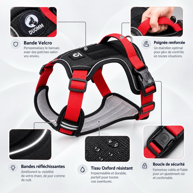Harnais Anti-Traction pour Chien – Réfléchissant, Réglable, Imperméable et Résistant