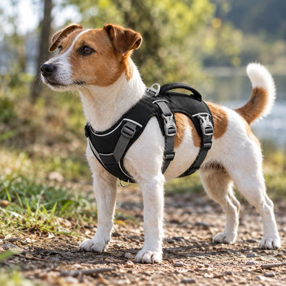 Harnais Chien Anti-Traction Rembourré Réfléchissant — Double Attache Avant Arrière, Poignée Renforcée | Canicross Jogging Randonnée Petits Moyens Chiens