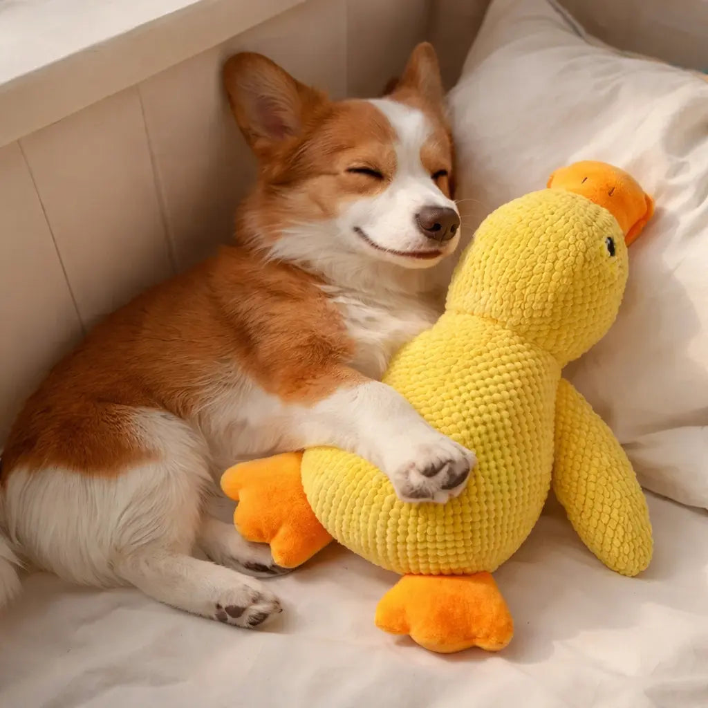 Jouet canard en peluche pour chien – Apaisant, sonore et compagnon de sommeil Dog Spirit