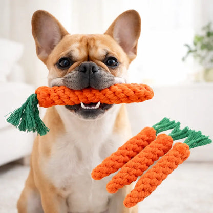 Jouet carotte en corde pour chien – Mastication résistante & nettoyage des dents Dog Spirit