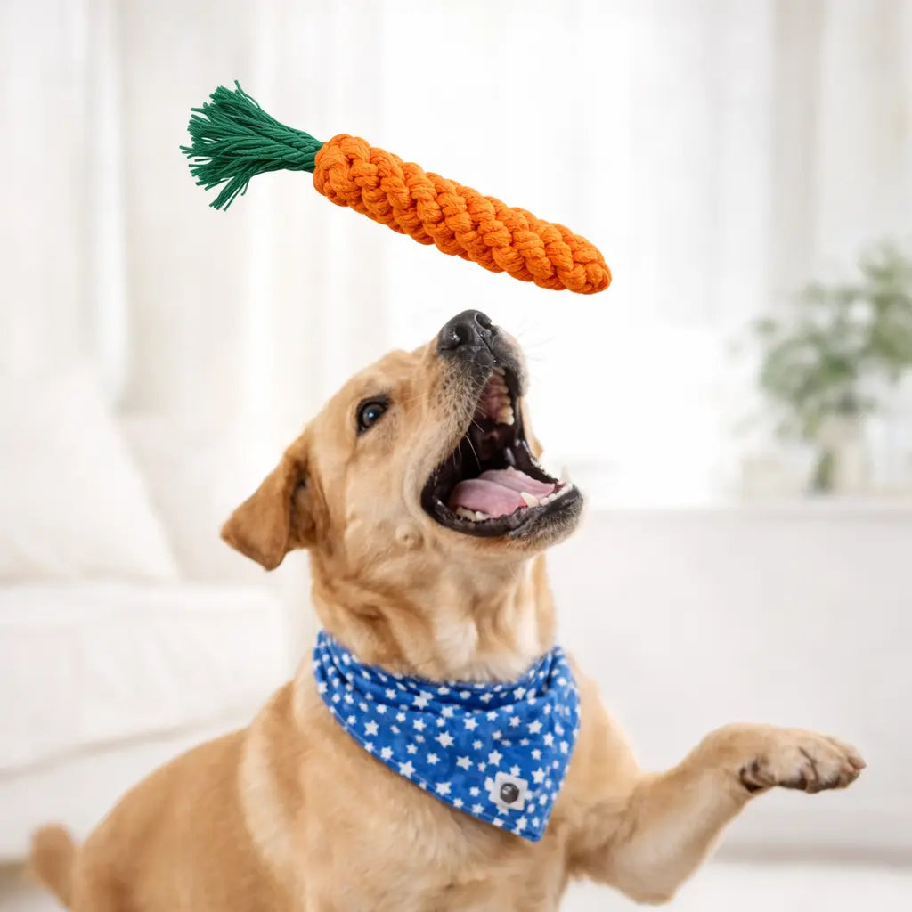 Jouet carotte en corde pour chien – Mastication résistante & nettoyage des dents Dog Spirit