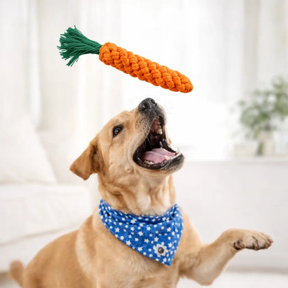 Jouet carotte en corde pour chien – Mastication résistante & nettoyage des dents Dog Spirit