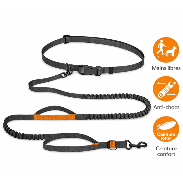 Laisse Canicross Mains Libres pour Chien – Confort, Contrôle et Liberté de Mouvement Dog Spirit