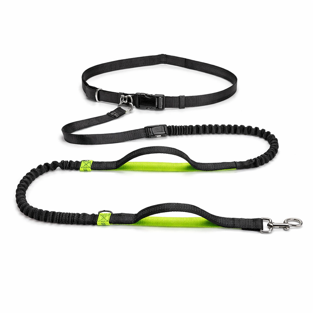 Laisse Canicross Mains Libres pour Chien – Confort, Contrôle et Liberté de Mouvement Dog Spirit