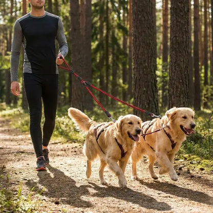 Laisse Double de Traction pour Chiens – Canicross & Promenade Sportive Dog Spirit