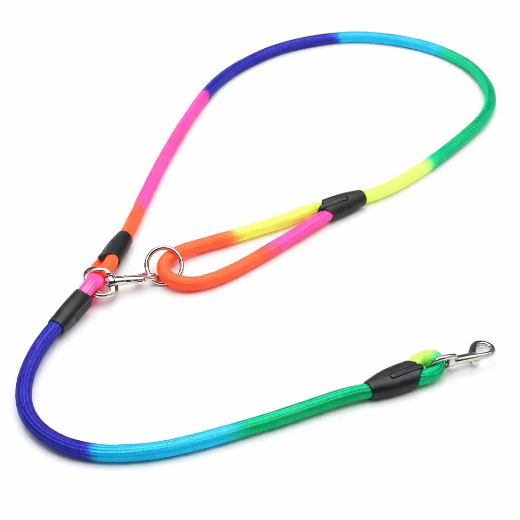 Laisse Mains Libres pour Chien – Nylon Résistant – Running, Canicross & Promenade – Petits et Grands Chiens Dog Spirit