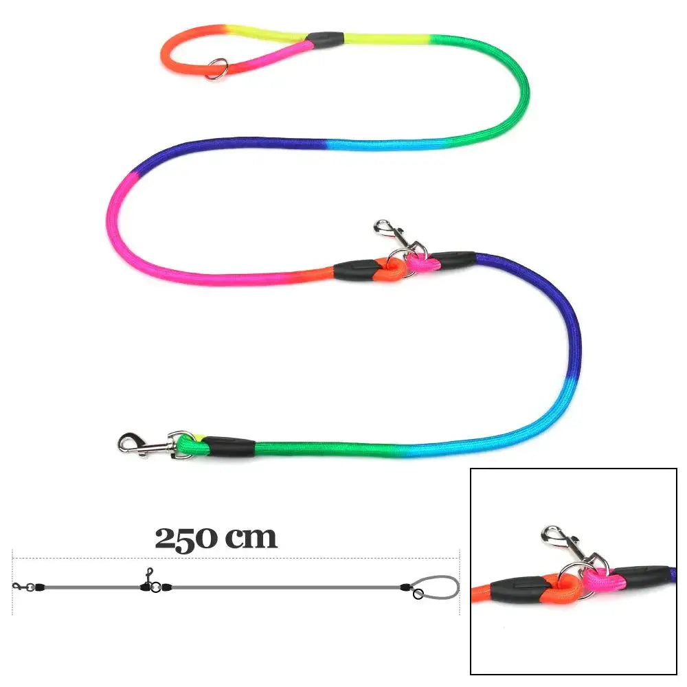 Laisse Mains Libres pour Chien – Nylon Résistant – Running, Canicross & Promenade – Petits et Grands Chiens Dog Spirit