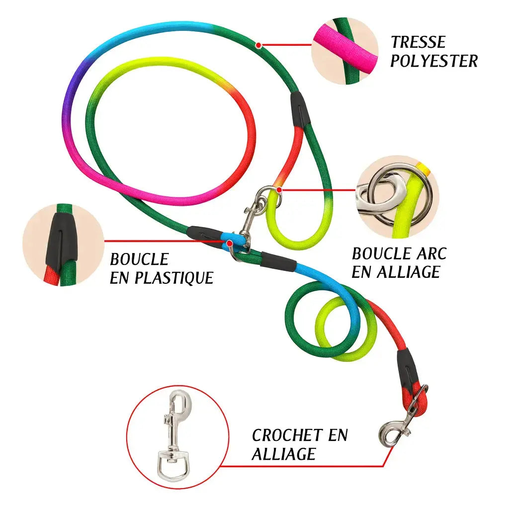 Laisse Mains Libres pour Chien – Nylon Résistant – Running, Canicross & Promenade – Petits et Grands Chiens Dog Spirit