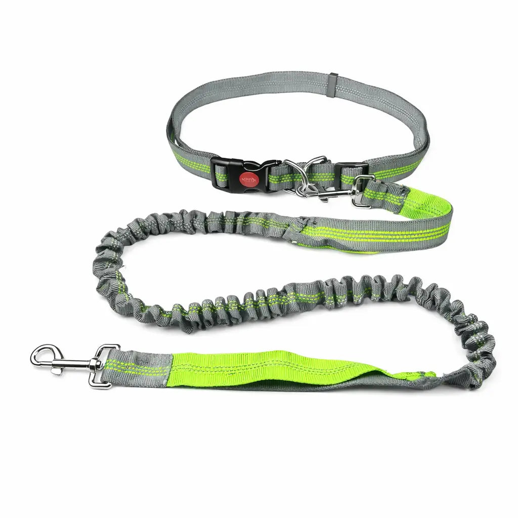 Laisse mains libres pour chien avec ceinture – Élastique, canicross & jogging Dog Spirit
