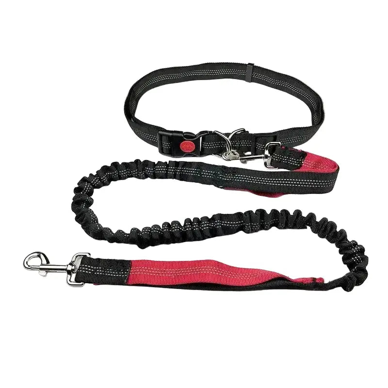 Laisse mains libres pour chien avec ceinture – Élastique, canicross & jogging Dog Spirit