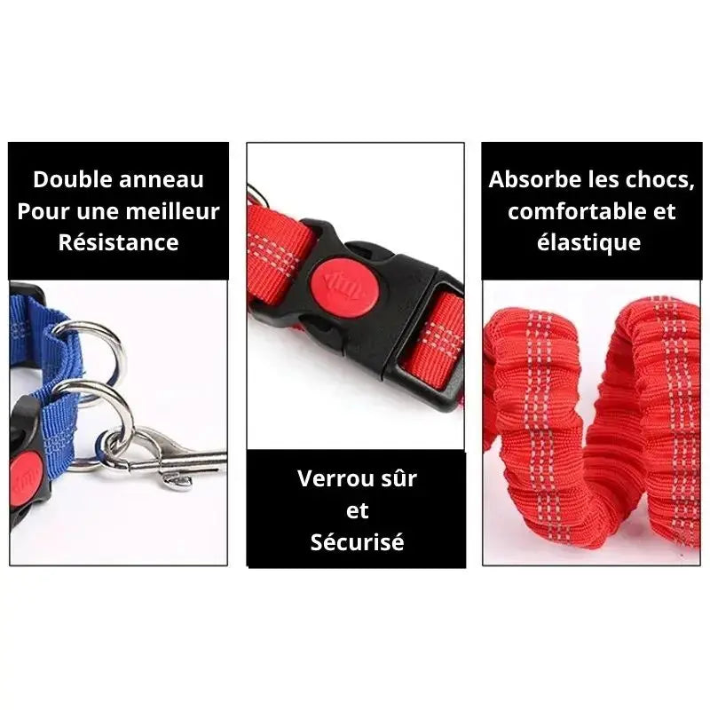 Laisse mains libres pour chien avec ceinture – Élastique, canicross & jogging Dog Spirit