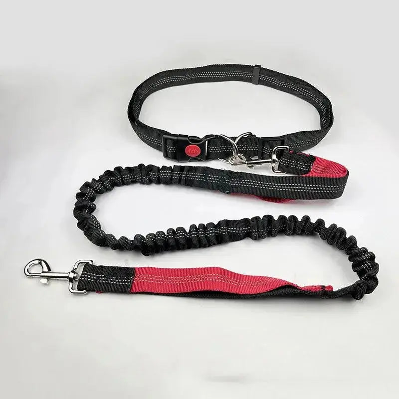 Laisse mains libres pour chien avec ceinture – Élastique, canicross & jogging Dog Spirit