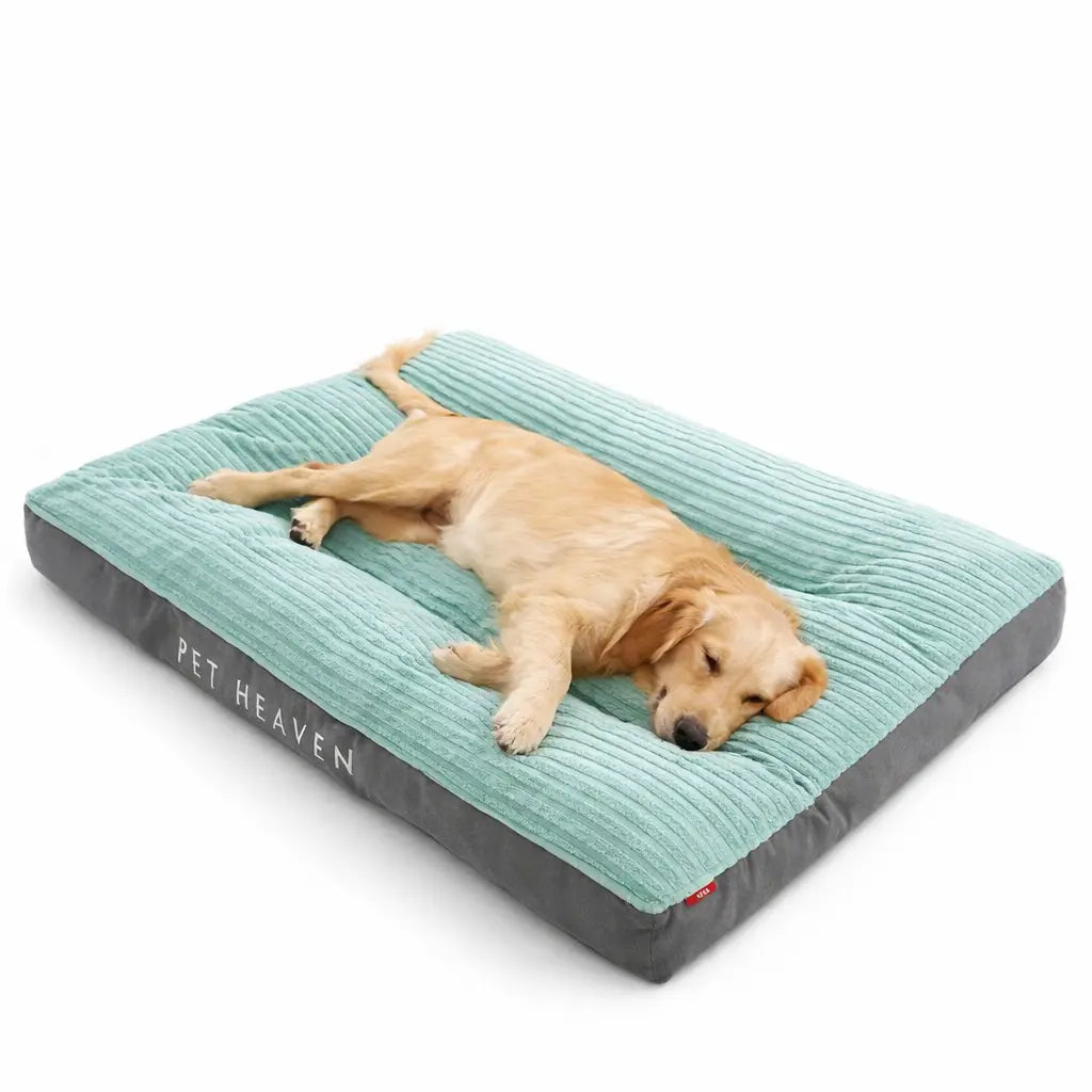 Lit chaud d’hiver pour chien en velours côtelé – Lavable & confortable (petits à grands chiens) Dog Spirit