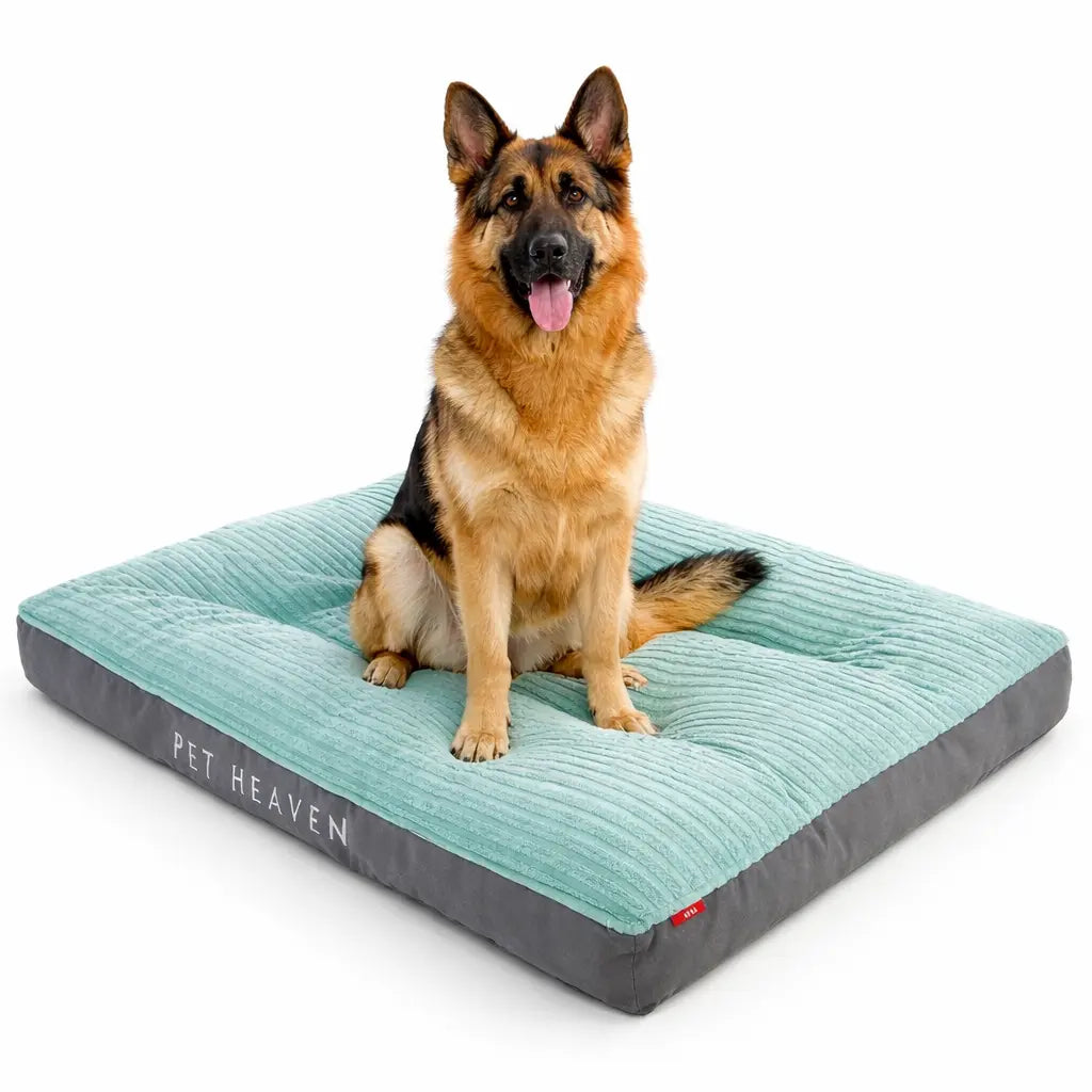 Lit chaud d’hiver pour chien en velours côtelé – Lavable & confortable (petits à grands chiens) Dog Spirit