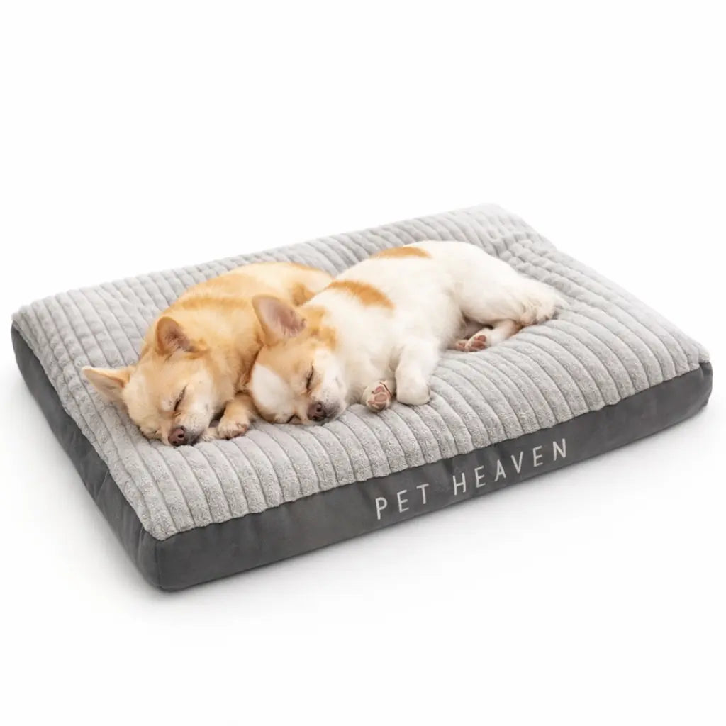 Lit chaud d’hiver pour chien en velours côtelé – Lavable & confortable (petits à grands chiens) Dog Spirit