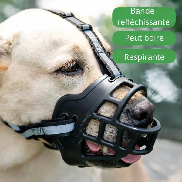 Muselière Panier pour Chien Réglable – Anti-Morsure, Plastique Respirant, Bande Réfléchissante