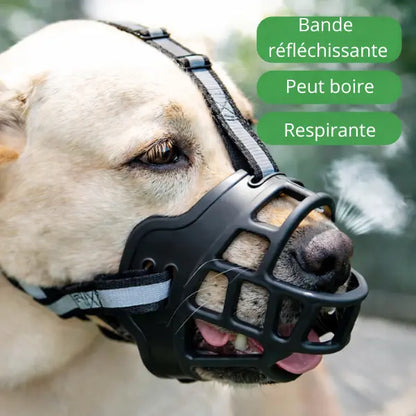 Muselière Panier pour Chien Réglable – Anti-Morsure, Plastique Respirant, Bande Réfléchissante