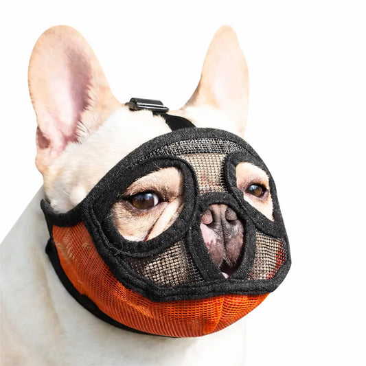 Muselière pour bouledogue français – Pratique et confortable