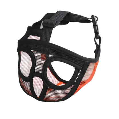 Muselière pour bouledogue français – Pratique et confortable