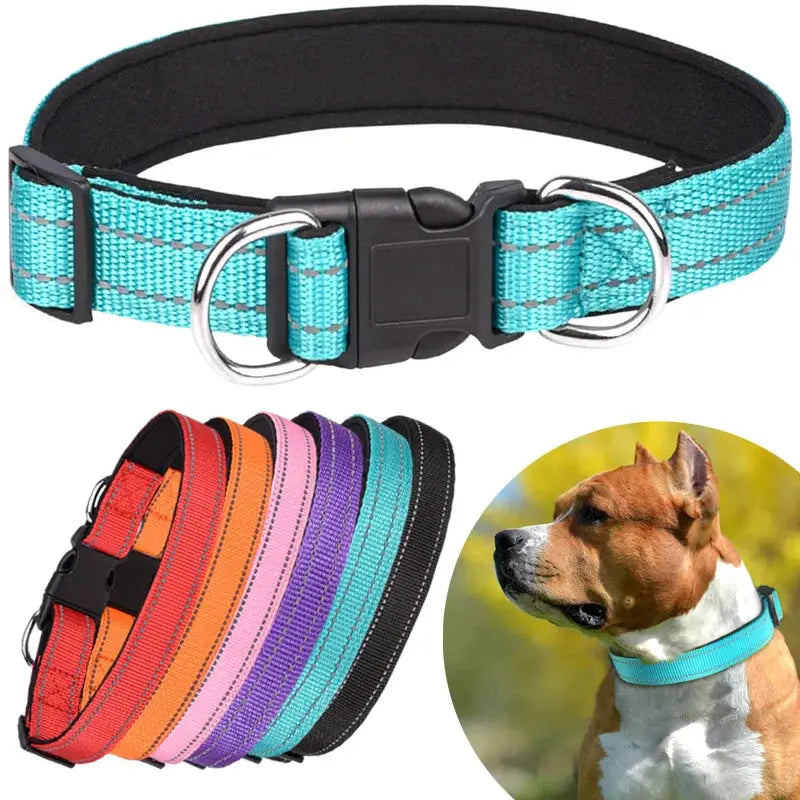 NightRun Comfort – Collier Réfléchissant pour Chien | Rembourré Néoprène & Respirant Dog Spirit