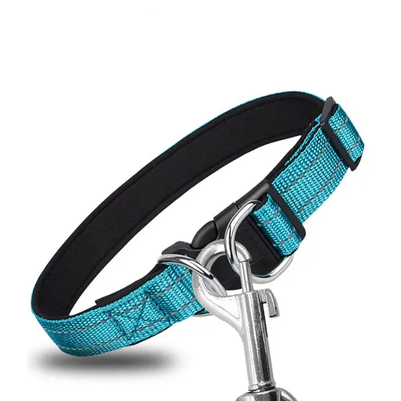 NightRun Comfort – Collier Réfléchissant pour Chien | Rembourré Néoprène & Respirant Dog Spirit