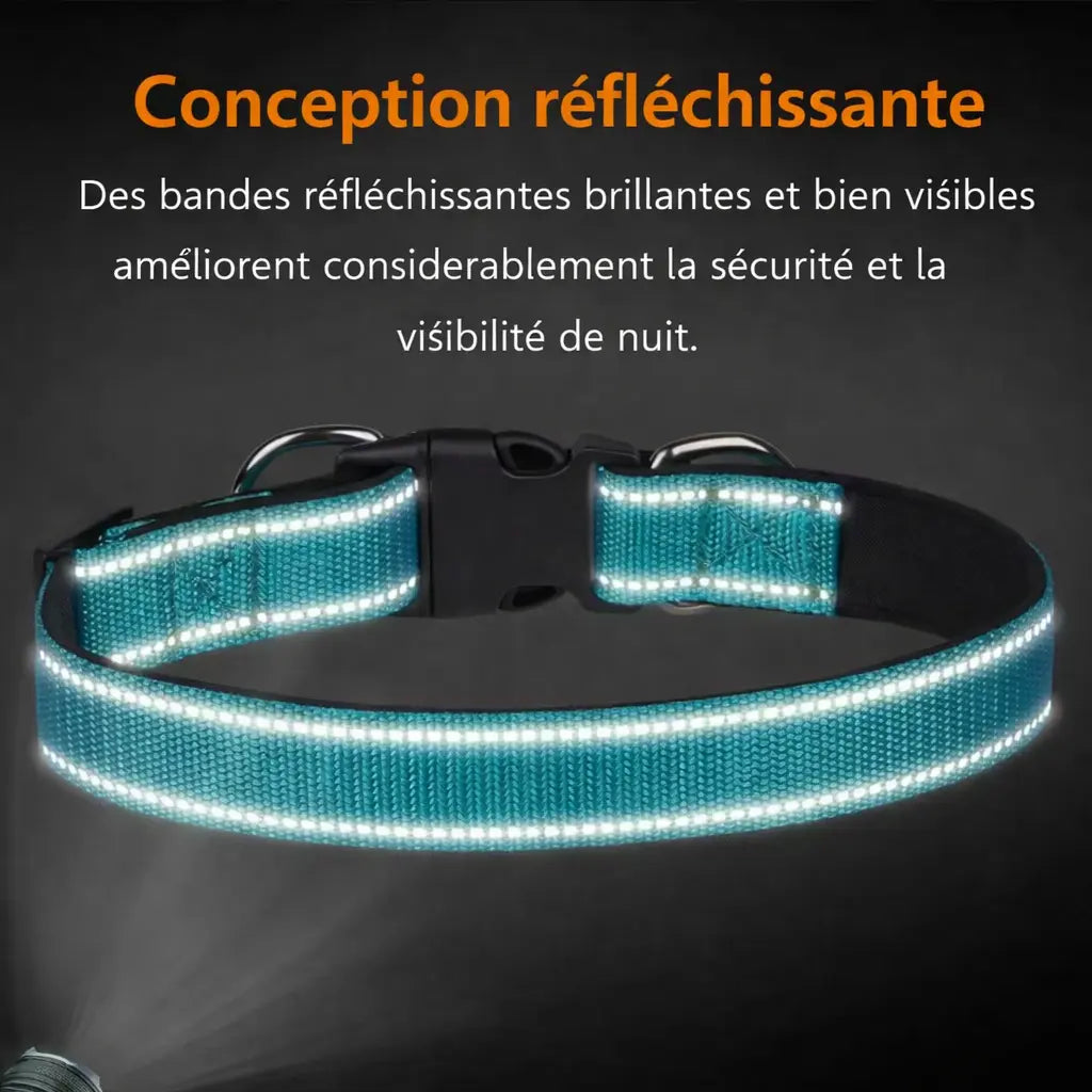 NightRun Comfort – Collier Réfléchissant pour Chien | Rembourré Néoprène & Respirant Dog Spirit