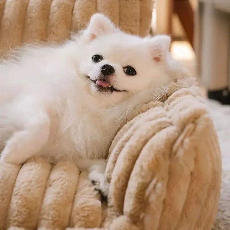 PawLuxe - Canapé orthopédique lavable pour chien Dog Spirit