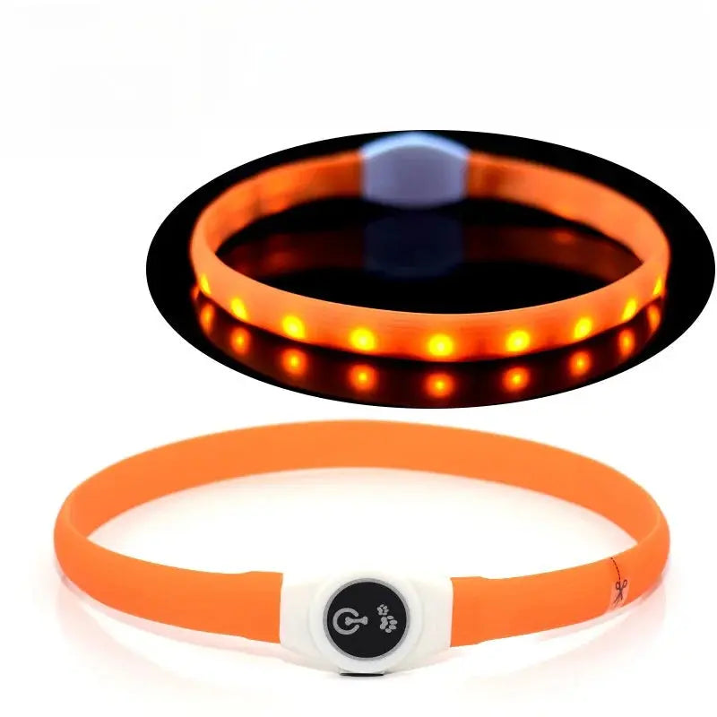 RainGlow – Collier LED Waterproof pour Chien | Visibilité Nocturne & Nettoyage Facile Dog Spirit