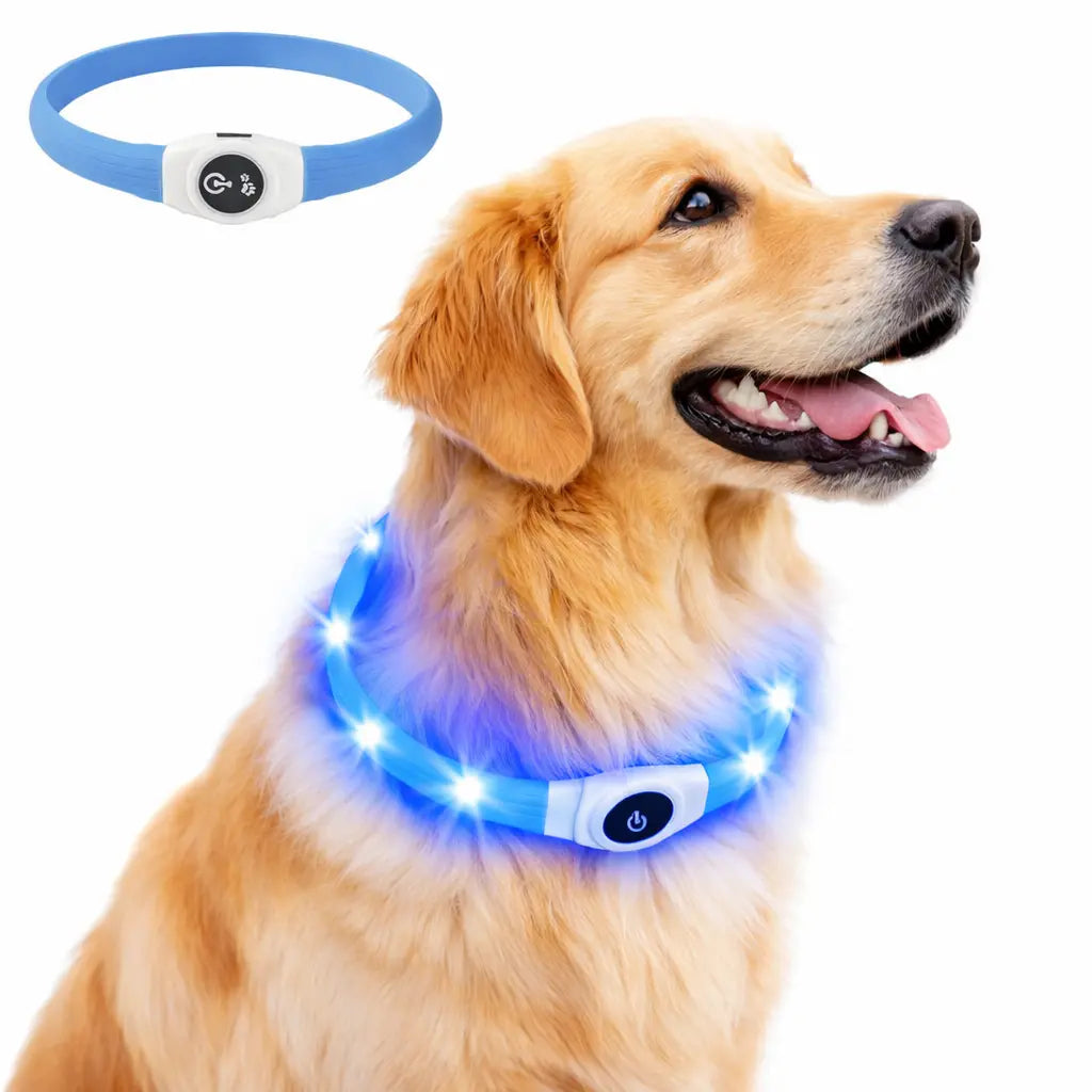 RainGlow – Collier LED Waterproof pour Chien | Visibilité Nocturne & Nettoyage Facile Dog Spirit