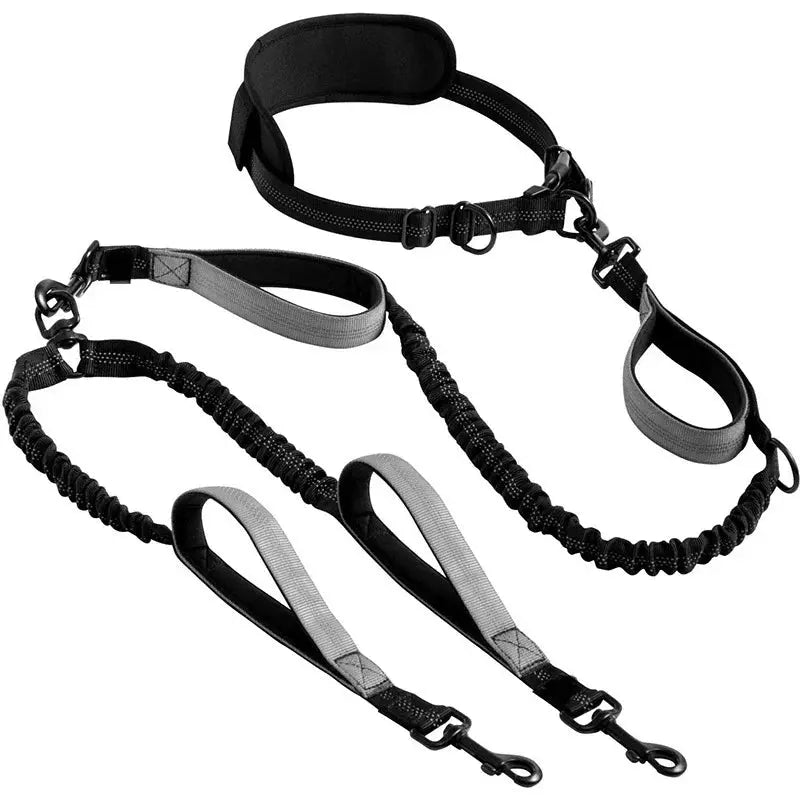 Canicross | Laisse Double pour Chien Avec Ceinture Premium Dog Spirit