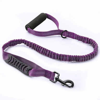 Promenade | Laisse longue et réfléchissante pour chien Dog Spirit