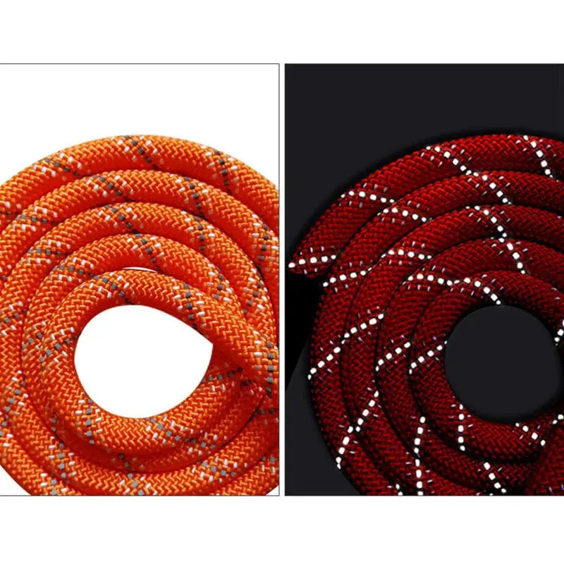 Promenade | Laisse Réfléchissante Petits et Grands Chiens Dog Spirit