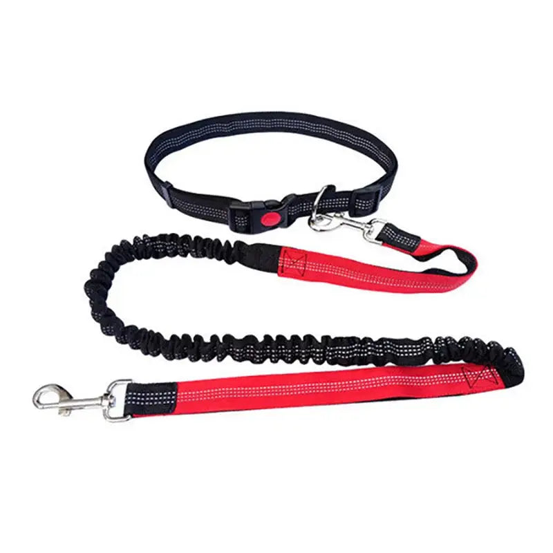 Canicross | Laisse Ceinture pour chien Multi-Couleur Elastique Dog Spirit