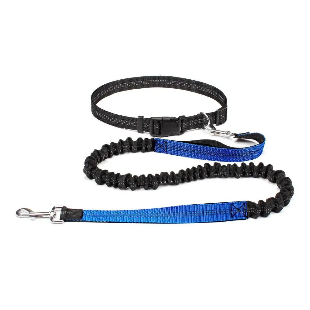 Canicross | Ceinture Laisse Pour Chien Dog Spirit