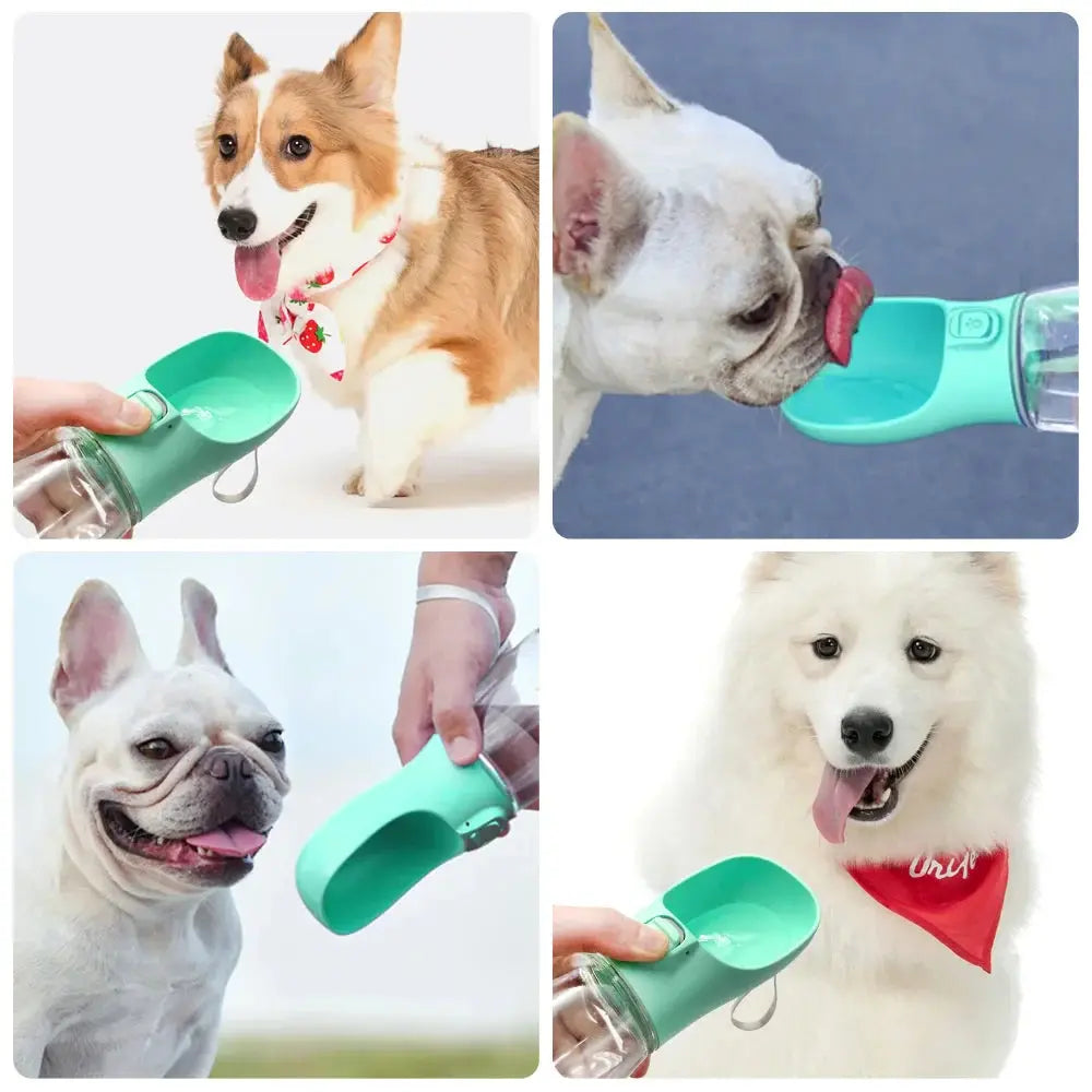 Accessoires | Gourde portable pour animaux Dog Spirit