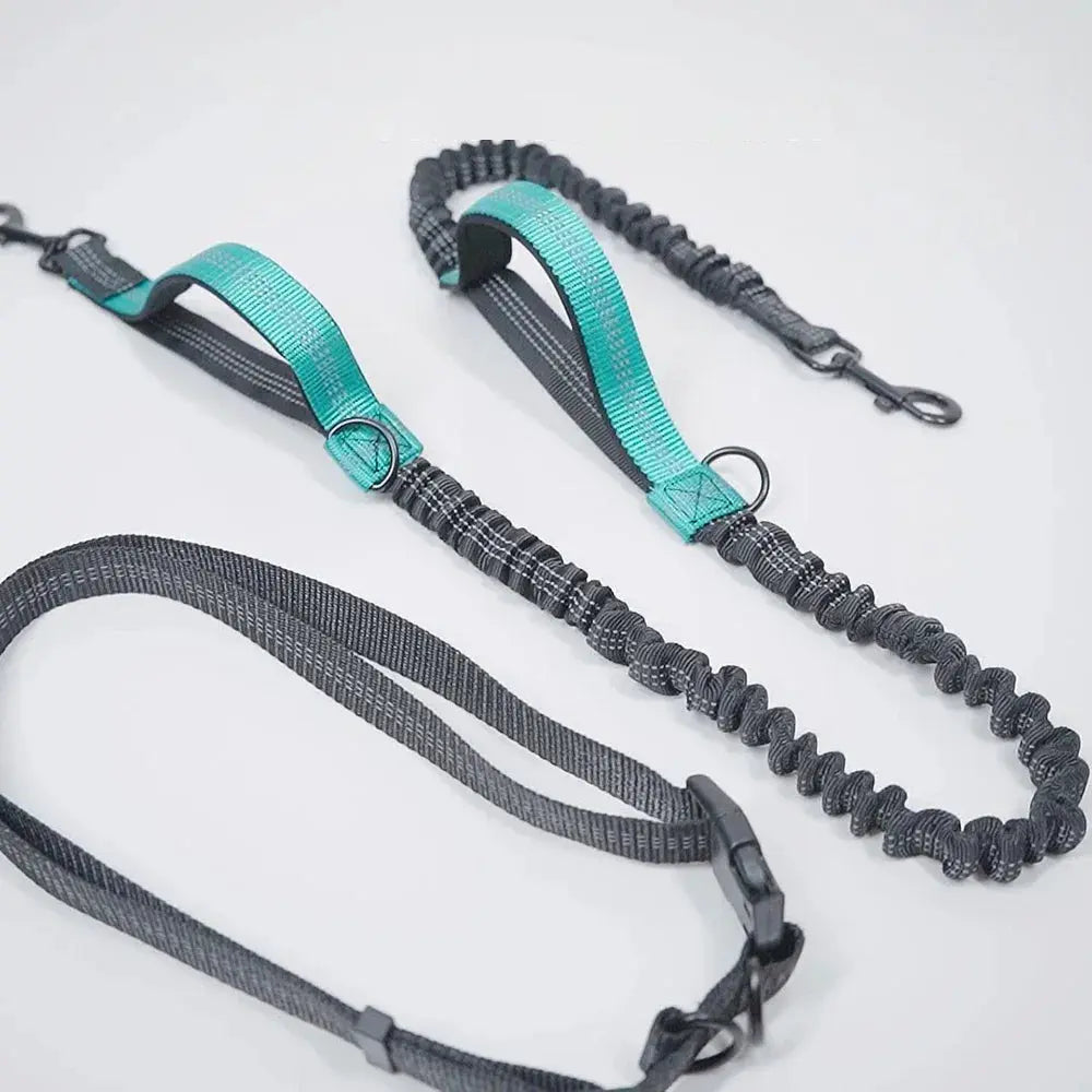 Canicross | Laisse Mains Libres abdominale Dog Spirit