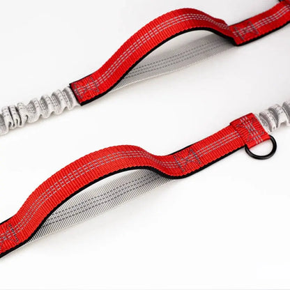 Canicross | Laisse Mains Libres abdominale Dog Spirit