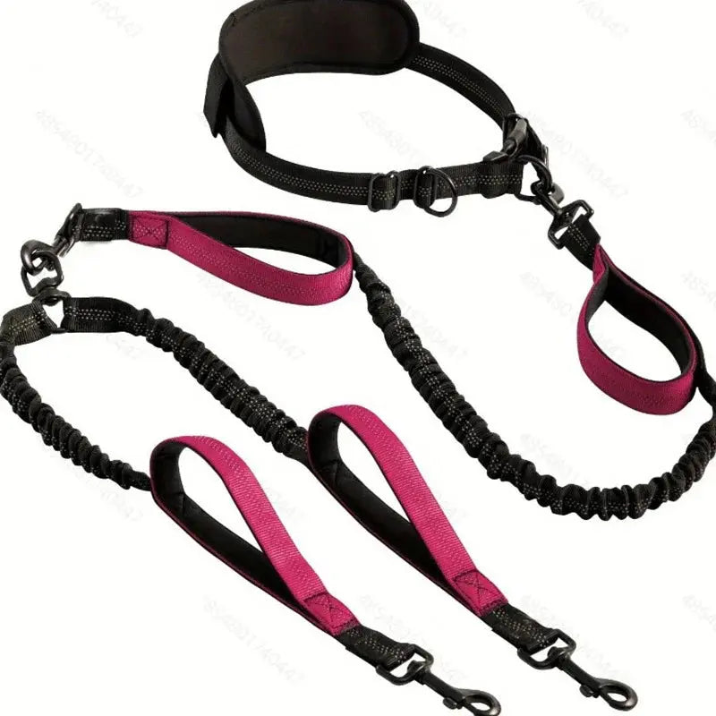 Canicross | Laisse Double pour Chien Avec Ceinture Premium Dog Spirit