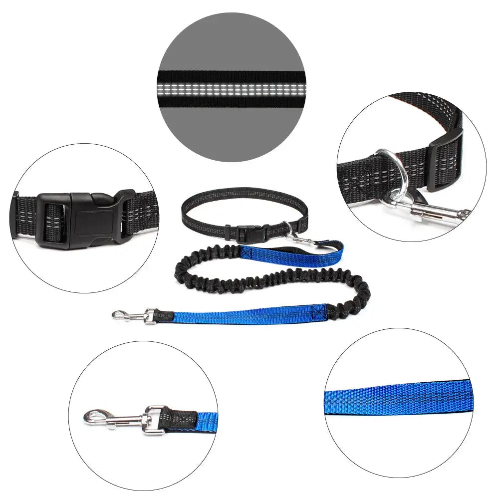 Canicross | Ceinture Laisse Pour Chien Dog Spirit