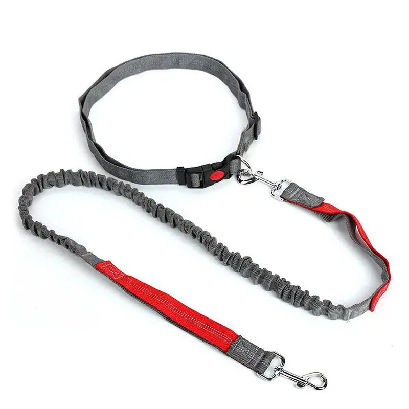 Canicross | Laisse Ceinture pour chien Multi-Couleur Elastique Dog Spirit