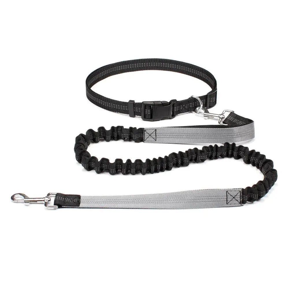 Canicross | Ceinture Laisse Pour Chien Dog Spirit