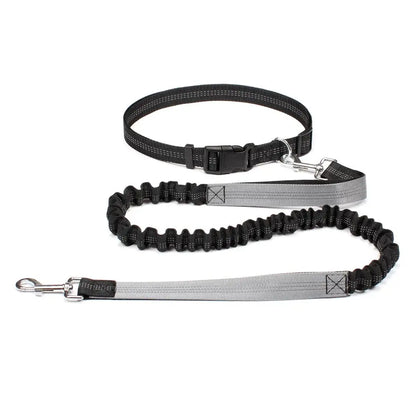 Canicross | Ceinture Laisse Pour Chien Dog Spirit