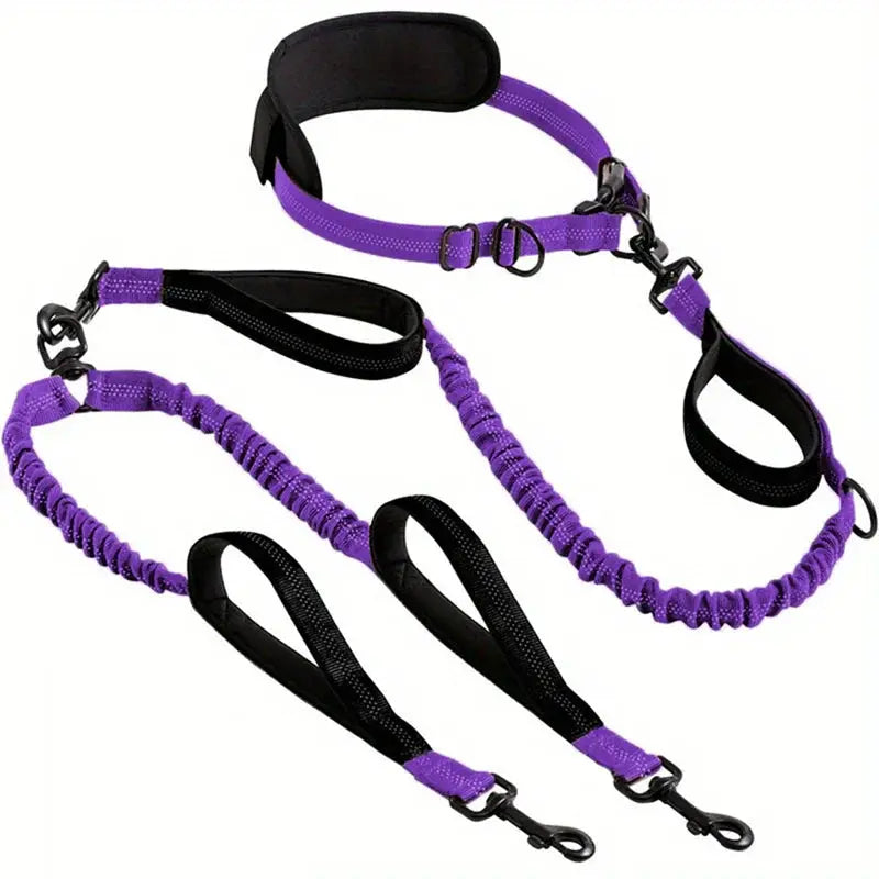 Canicross | Laisse Double pour Chien Avec Ceinture Premium Dog Spirit