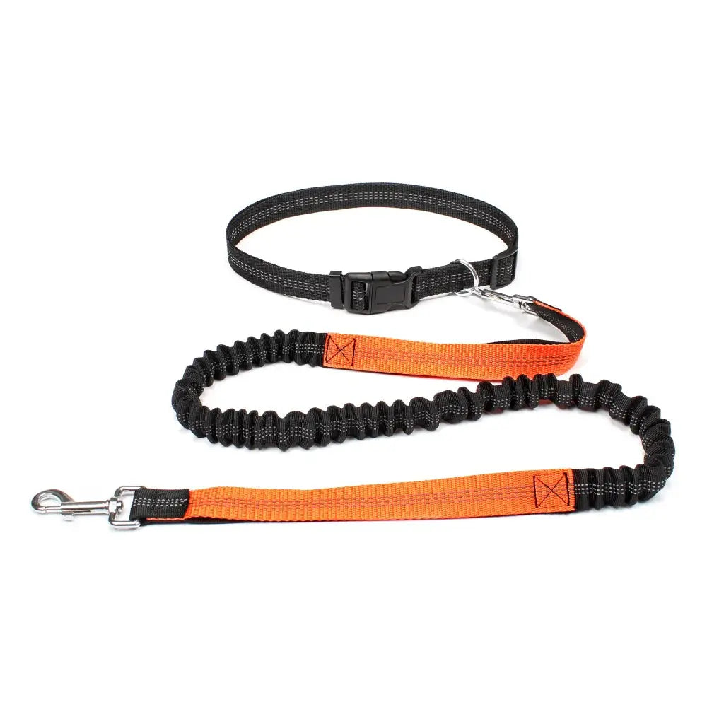 Canicross | Ceinture Laisse Pour Chien Dog Spirit