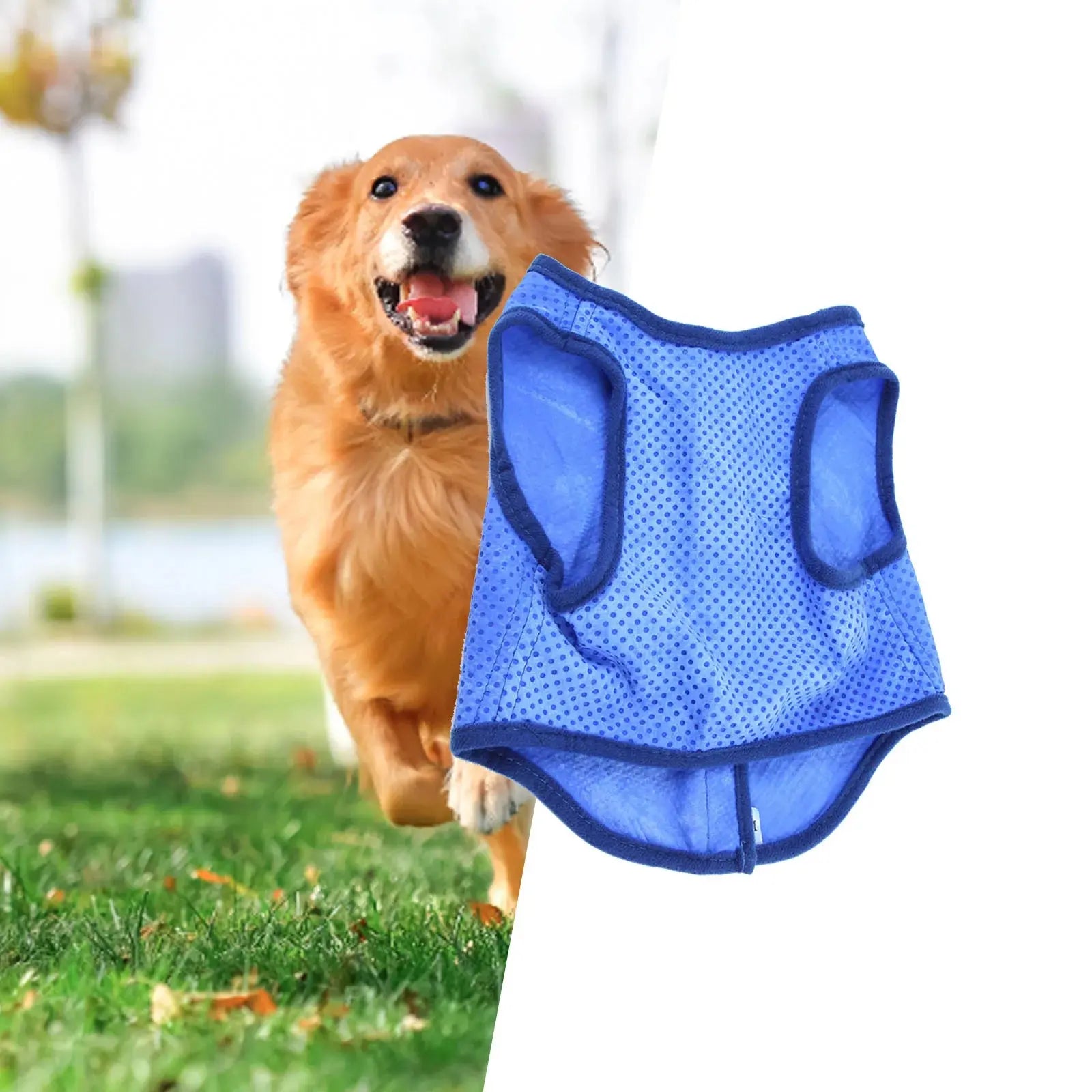 Accessoire | Gilet Rafraichissant pour Chien Dog Spirit